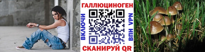 Купить где  Советская Гавань  Псилоцибиновые грибы мухоморы 