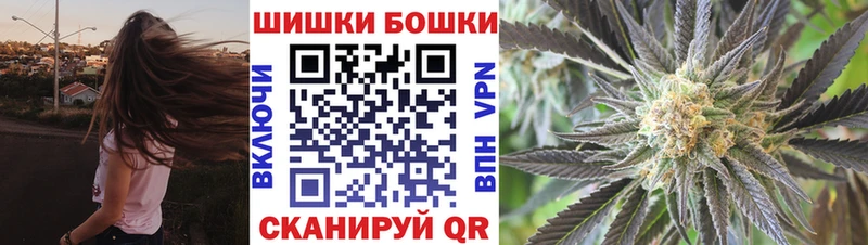 Купить где  Советская Гавань  Бошки Шишки семена 